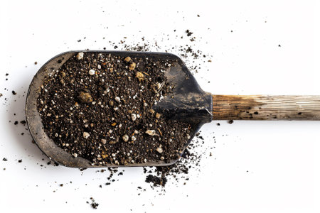 Gardening shovel with soil isolated on white background. Top view.の素材