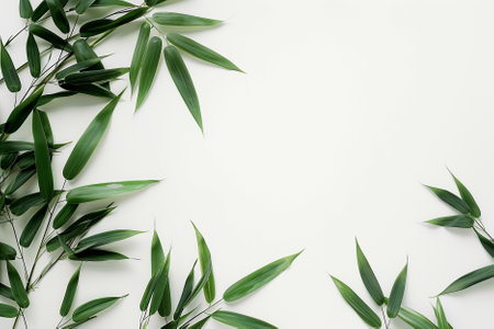 Frame made of green bamboo leaves on white background. Flat lay, top view.の素材