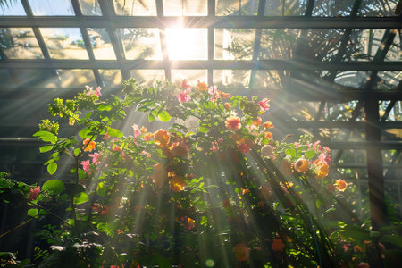Flowers in the garden at sunset time. Natural background with flowers.の素材