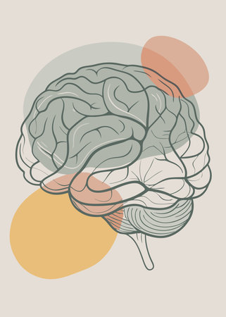 Human brain. Hand drawn vector illustration in doodle style.のイラスト素材