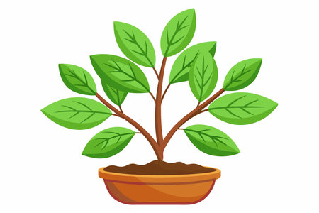 Plant in a pot isolated on white background. Vector illustration.のイラスト素材