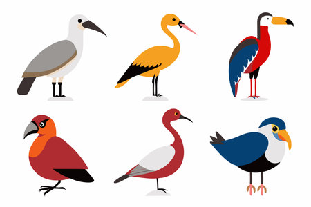 Set of colorful birds isolated on white background. Flat style vector illustration.のイラスト素材