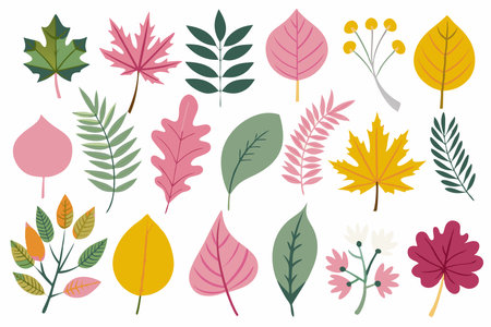 Autumn leaves set. Collection of autumn leaves. Vector illustration.のイラスト素材