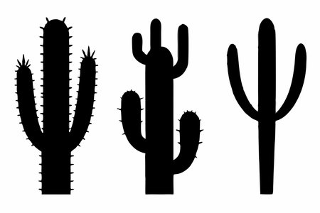 Set of cactuses silhouettes isolated on white background. Vector illustration.のイラスト素材