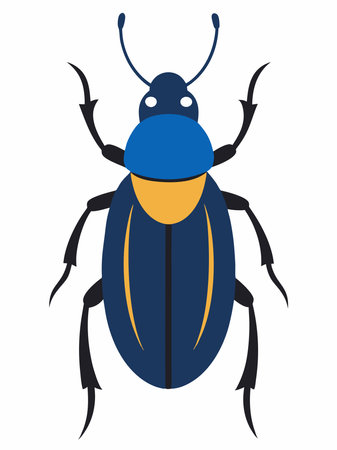 Blue beetle isolated on white background. Flat style. Vector illustration.のイラスト素材