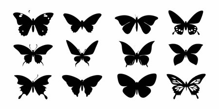 Butterfly silhouettes isolated on white background. Vector illustration.のイラスト素材