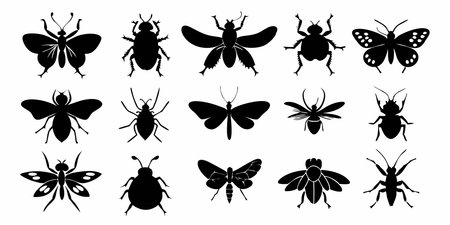 Set of black insects silhouettes isolated on white background. Vector illustration.のイラスト素材