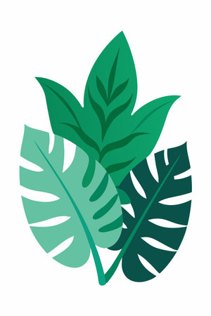 tropical leaves icon on white background vector illustration design vector illustration designのイラスト素材