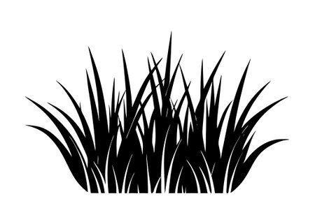 Grass flat illustration silhouette isolated on white backgroundのイラスト素材