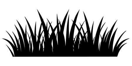 Grass flat illustration silhouette isolated on white backgroundのイラスト素材