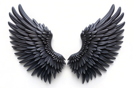 3D black wings isolated on white backgroundの写真素材