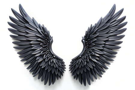 3D black wings isolated on white backgroundの写真素材
