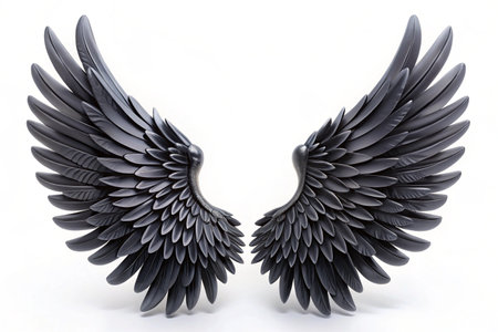 3D black wings isolated on white background