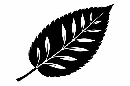 Black leaf silhouette on white backgroundのイラスト素材