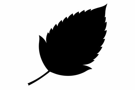 Black leaf silhouette on white backgroundのイラスト素材