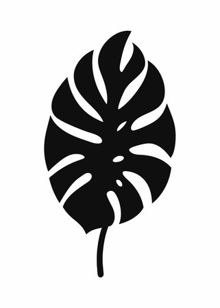Black Monstera leaf silhouette on white backgroundのイラスト素材