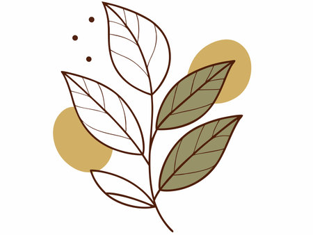 Leaf minimal vector art on white backgroundのイラスト素材