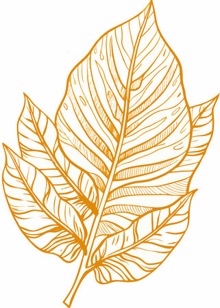 Leaf minimal vector art on white backgroundのイラスト素材