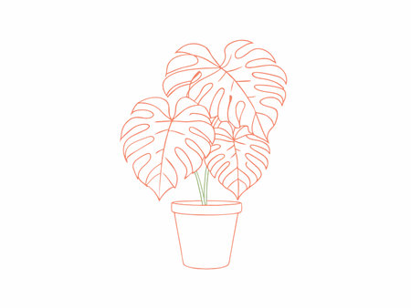 Monstera plant minimal vector on white backgroundのイラスト素材
