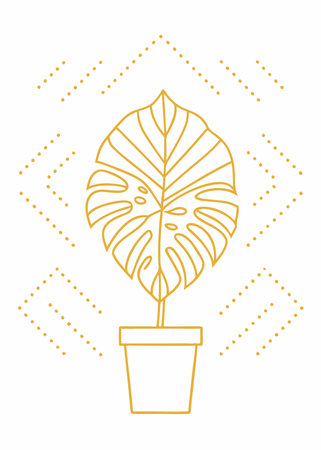 Monstera plant minimal vector on white backgroundのイラスト素材