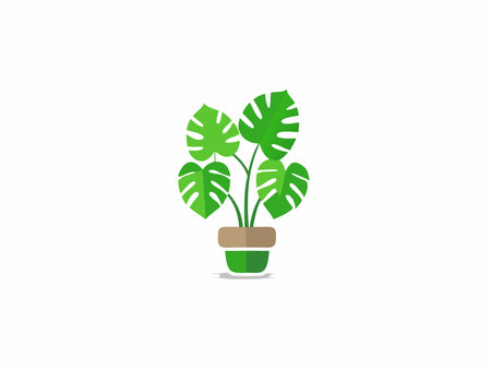 Monstera plant minimal vector on white backgroundのイラスト素材