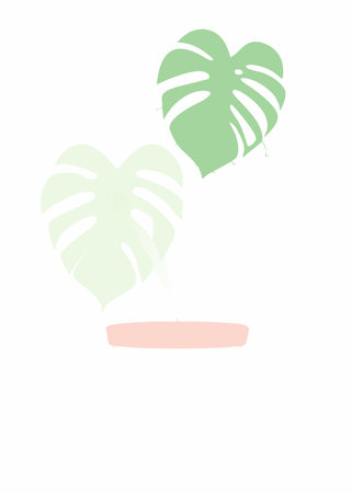 Monstera plant minimal vector on white backgroundのイラスト素材