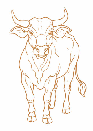 Bull illustration on white backgroundのイラスト素材