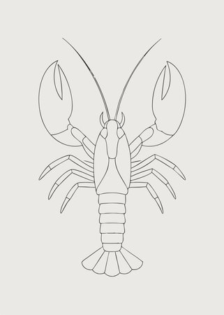 Crawfish illustration on white backgroundのイラスト素材