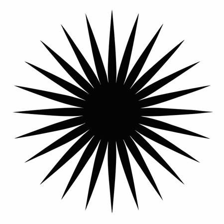 Black sunburst vector illustration on white backgroundのイラスト素材