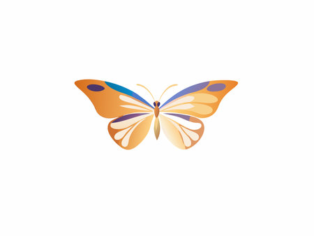 Vector illustration of butterfly on white backgroundのイラスト素材