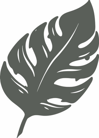 Botanical Leaf vector on white backgroundのイラスト素材