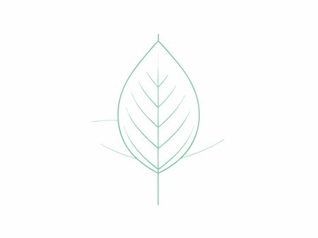 Leaf logo vector illustration on white backgroundのイラスト素材
