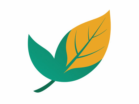 Minimalist leaf vector on white backgroundのイラスト素材