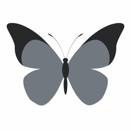 Butterfly silhouette vector art on white backgroundのイラスト素材