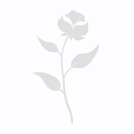 Flower silhouette on white backgroundのイラスト素材