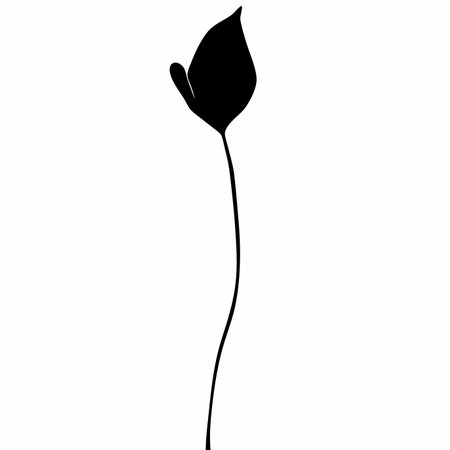 Flower silhouette on white backgroundのイラスト素材