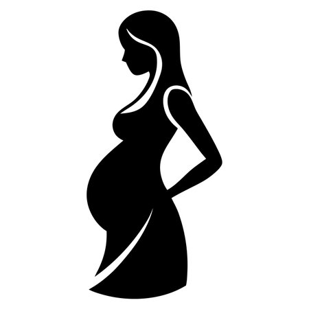 Pregnant women silhouette vector on white backgroundのイラスト素材
