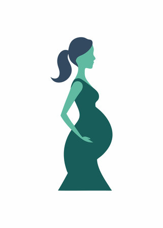 Pregnant women silhouette vector on white backgroundのイラスト素材