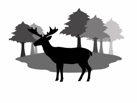 Wildlife forest silhouette vector on white backgroundのイラスト素材