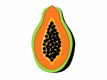 Minimalist Papaya fruit sliced vector on white backgroundのイラスト素材