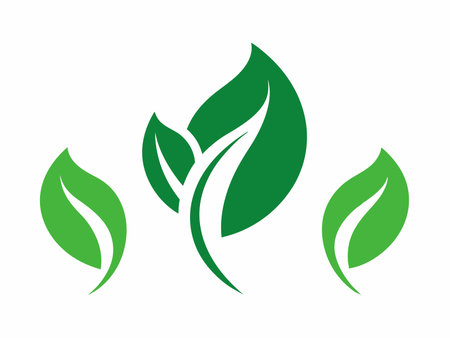 Set of leaf logo design vector on white backgroundのイラスト素材