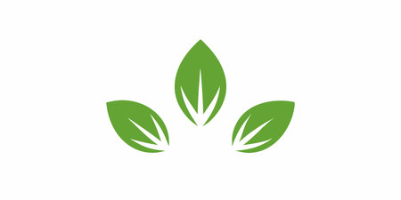 Set of leaf logo design vector on white backgroundのイラスト素材