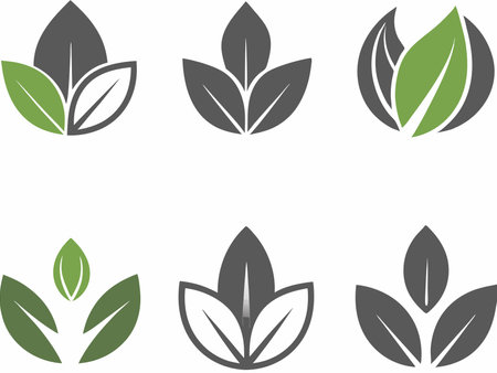 Set of leaf logo design vector on white backgroundのイラスト素材