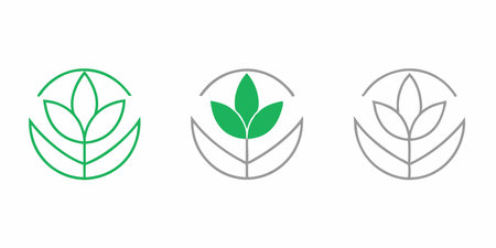 Set of leaf logo design vector on white backgroundのイラスト素材
