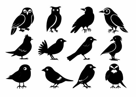 Birds silhouette collection on white backgroundのイラスト素材