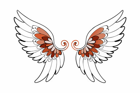 Angel wing vector illustration on white backgroundのイラスト素材