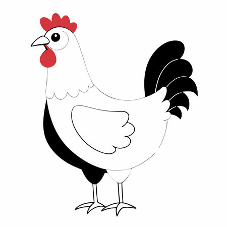chicken in cartoon style vector illustration on white backgroundのイラスト素材