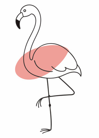Flamingo in cartoon style vector illustration on white backgroundのイラスト素材