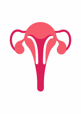 Human anatomy female reproductive system vector on white backgroundのイラスト素材