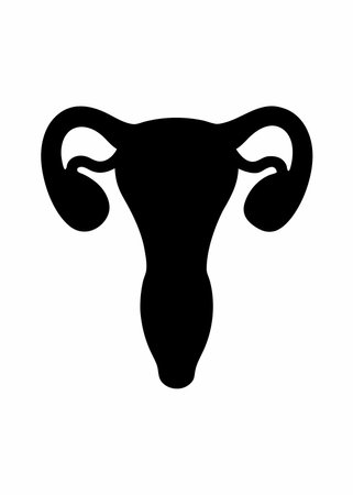 Human anatomy female reproductive system vector on white backgroundのイラスト素材